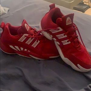 Customized iu basketball shoes (only 15 exist)